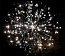GP497-2 4